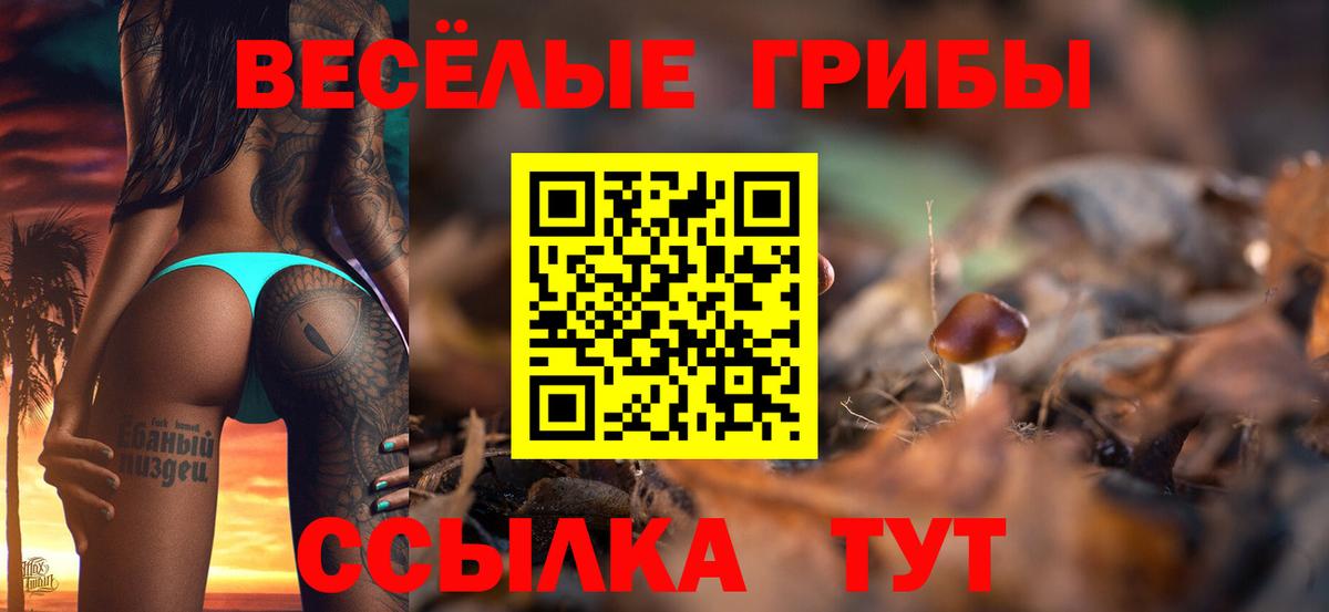 Галлюциногенные грибы ЛСД  Вход с VPN  Унеча 